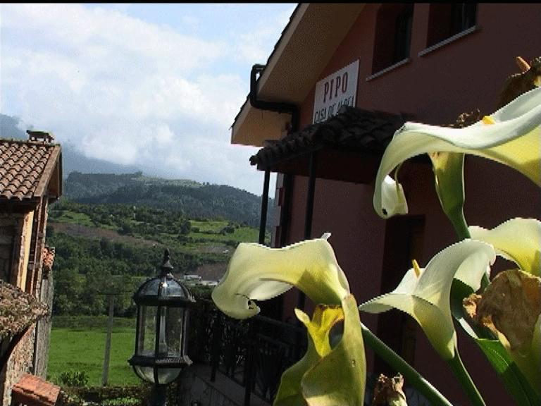 Casa Rural Casa Pipo Colunga Extérieur photo
